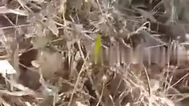 Village girl outdoor MMS fucking video with lover